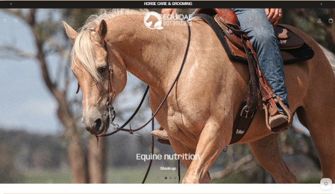 Equidae