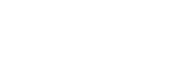 Shopify Plus Partner