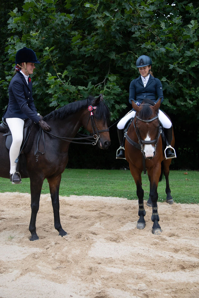Equidae